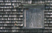 View this image larger